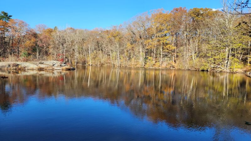Allandale Woods - Boston, MA