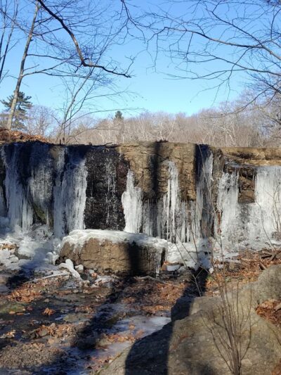 Allandale Woods - Boston, MA