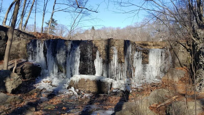 Allandale Woods - Boston, MA