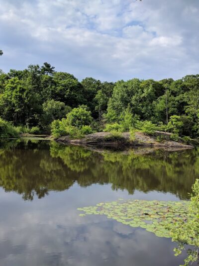 Allandale Woods - Boston, MA