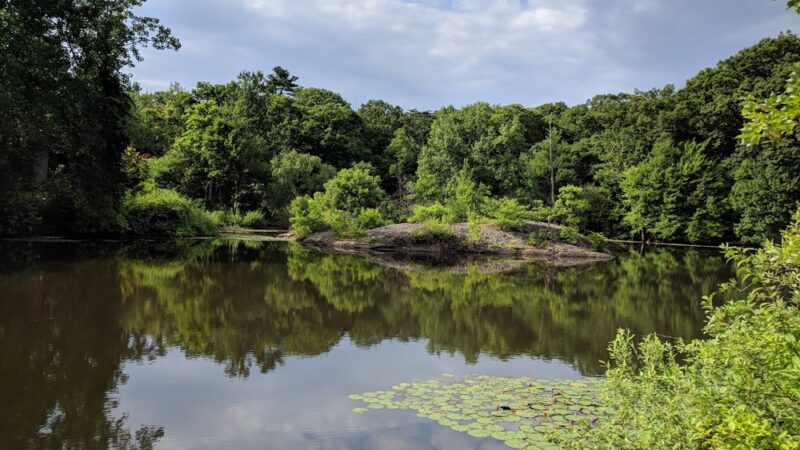 Allandale Woods - Boston, MA