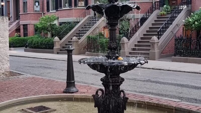 Braddock Park - Boston, MA