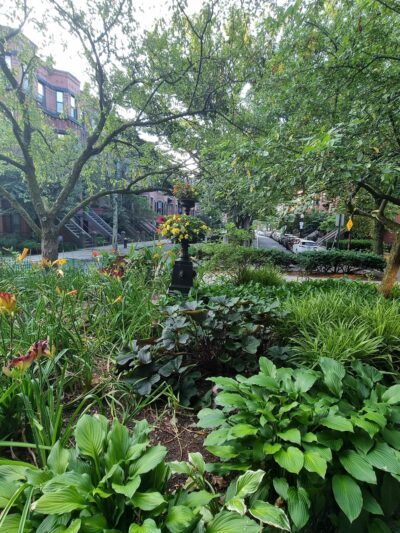 Braddock Park - Boston, MA