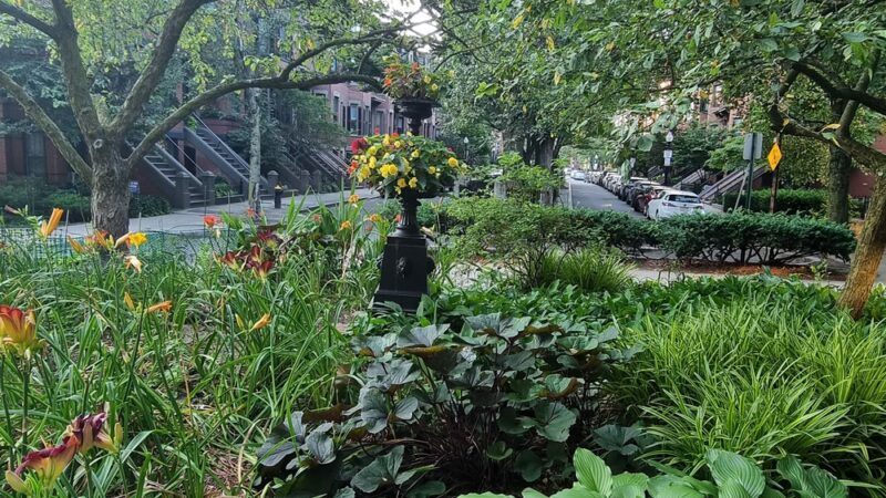 Braddock Park - Boston, MA