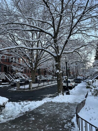 Braddock Park - Boston, MA