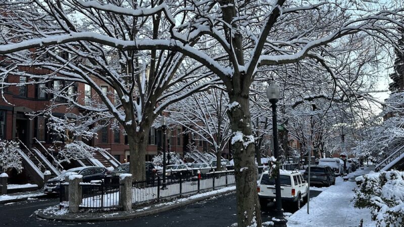 Braddock Park - Boston, MA