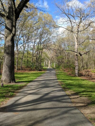 Dorchester Park - Boston, MA