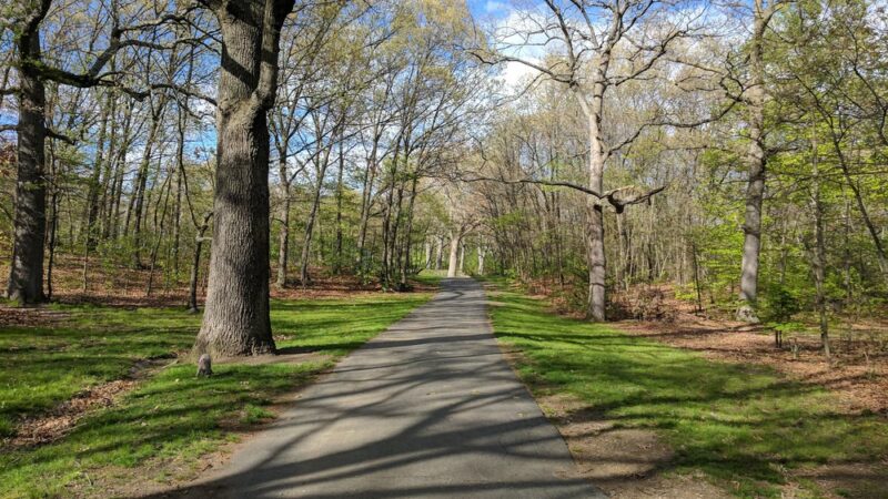 Dorchester Park - Boston, MA