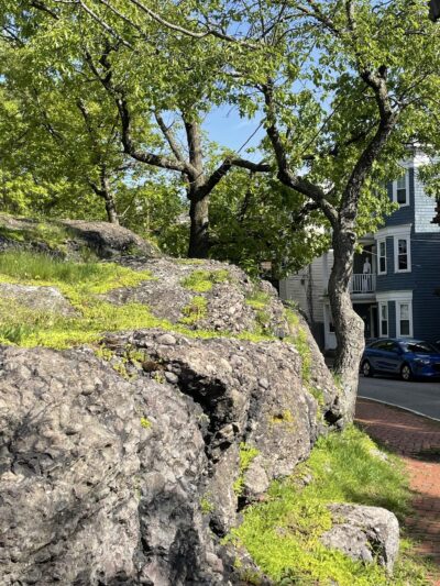 Highland Park - Boston, MA