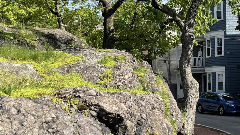 Highland Park - Boston, MA