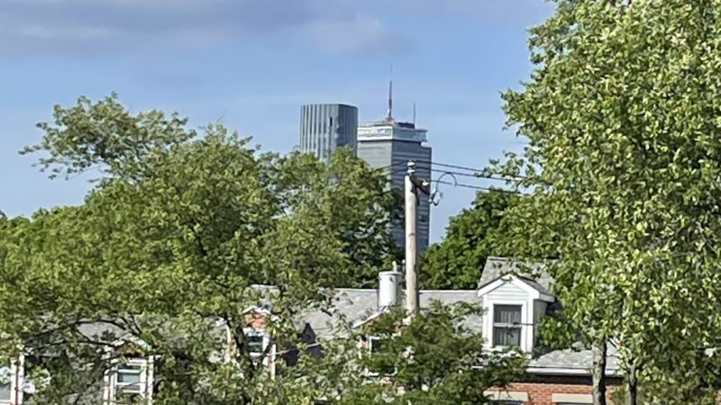 Highland Park - Boston, MA