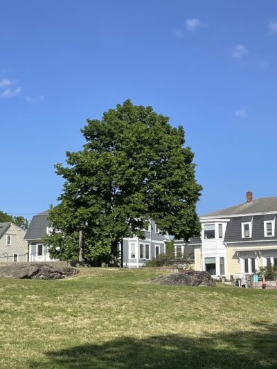 Highland Park - Boston, MA