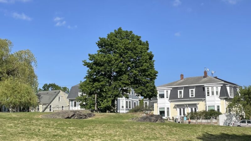 Highland Park - Boston, MA