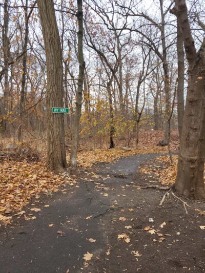 Ivy Trail - Boston, MA