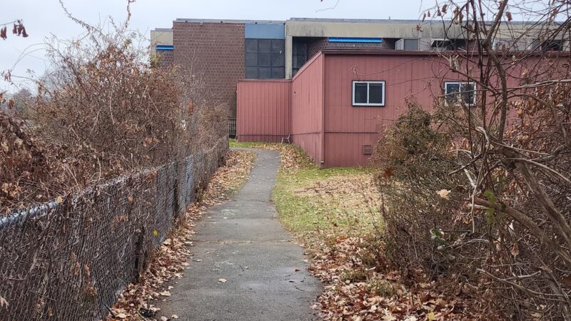 Ivy Trail - Boston, MA