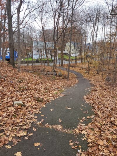 Ivy Trail - Boston, MA