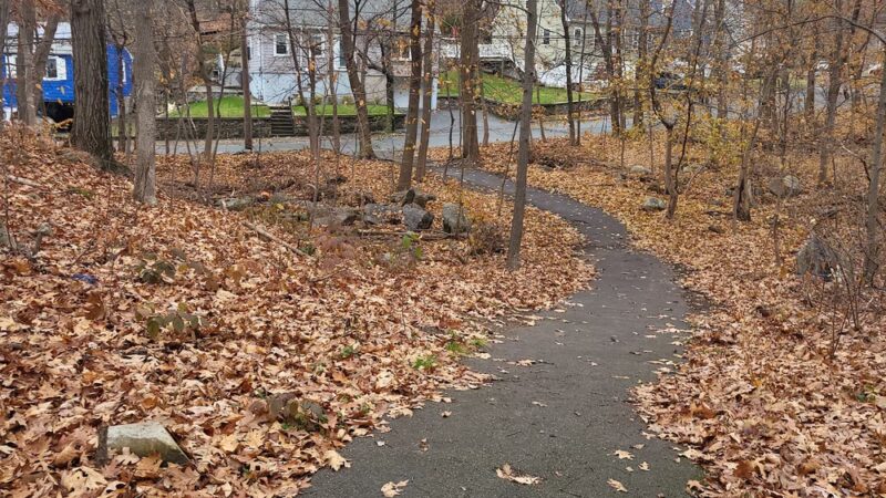 Ivy Trail - Boston, MA