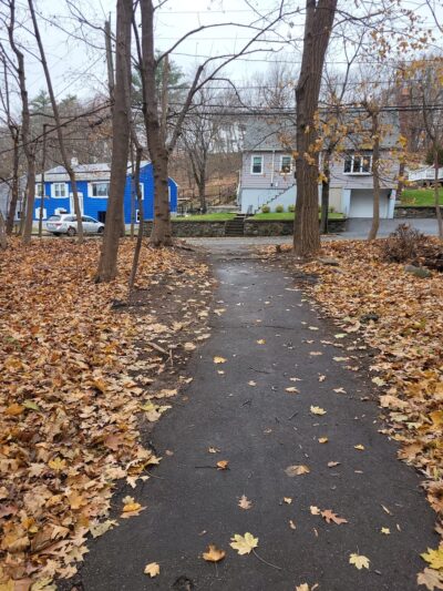 Ivy Trail - Boston, MA