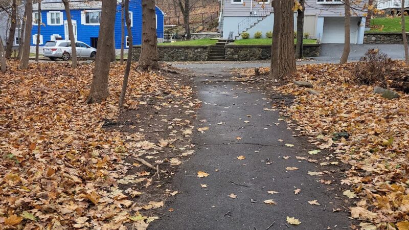 Ivy Trail - Boston, MA