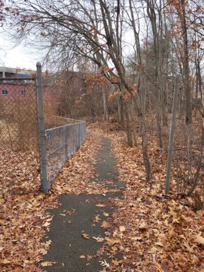 Ivy Trail - Boston, MA