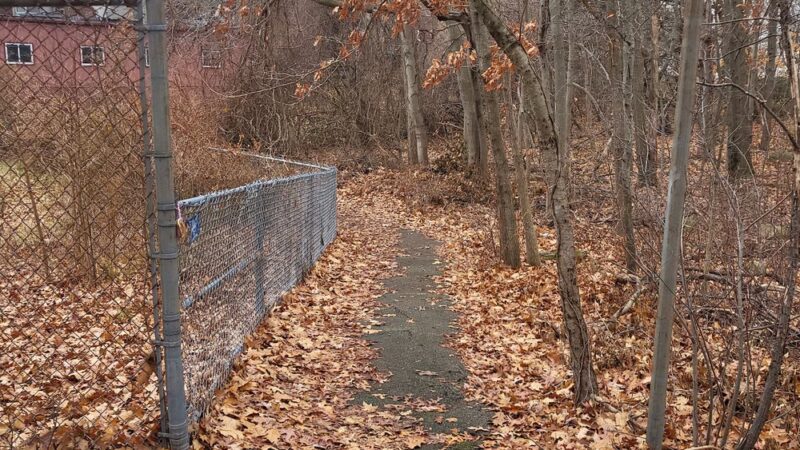 Ivy Trail - Boston, MA