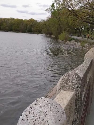 Jamaica Pond Park - Boston, MA