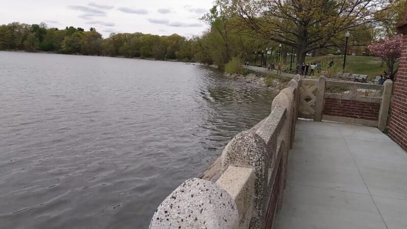 Jamaica Pond Park - Boston, MA