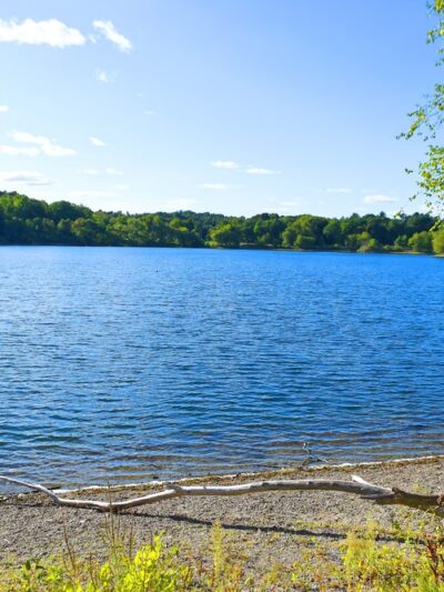 Jamaica Pond Park - Boston, MA