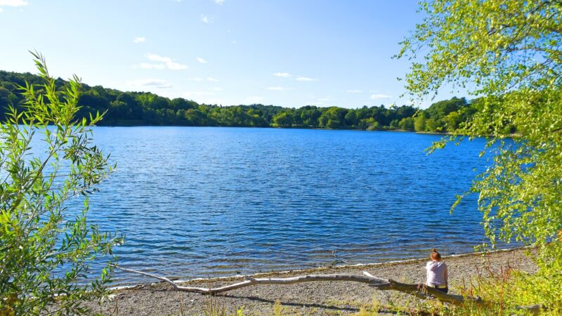 Jamaica Pond Park - Boston, MA