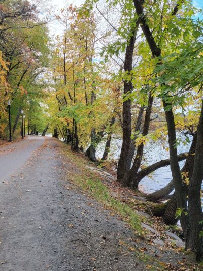Jamaica Pond Park - Boston, MA