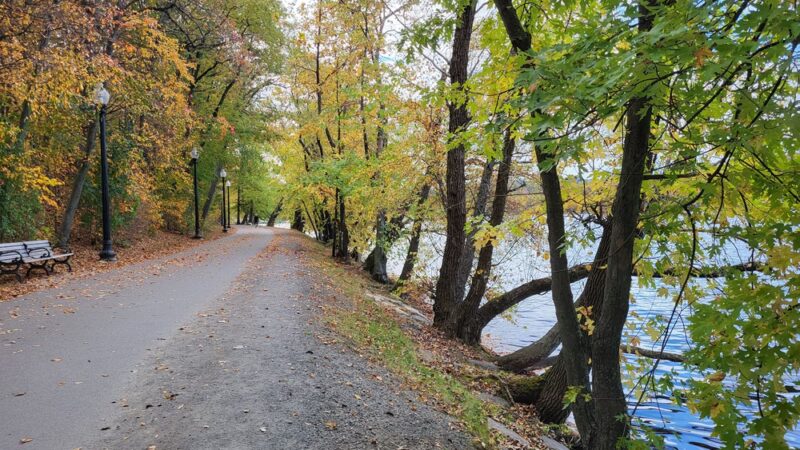 Jamaica Pond Park - Boston, MA