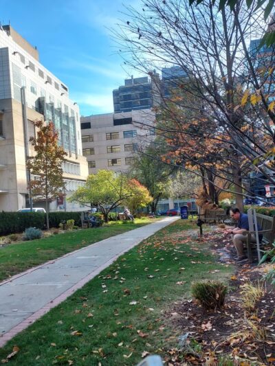 Joslin Park - Boston, MA