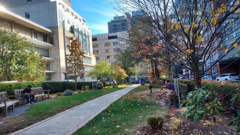 Joslin Park - Boston, MA
