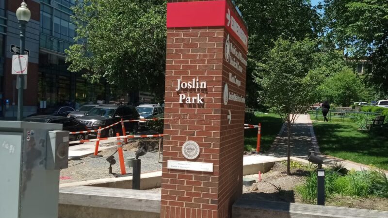 Joslin Park - Boston, MA