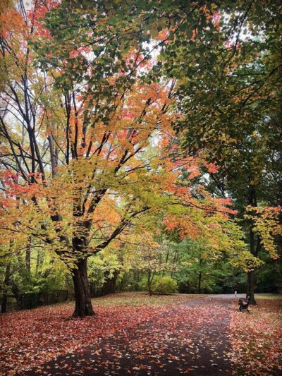 Olmsted Park - Boston, MA