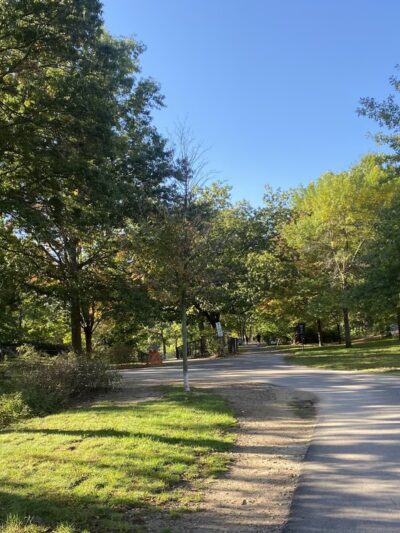 Olmsted Park - Boston, MA