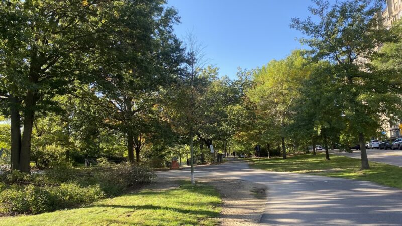 Olmsted Park - Boston, MA