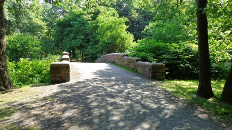 Olmsted Park - Boston, MA