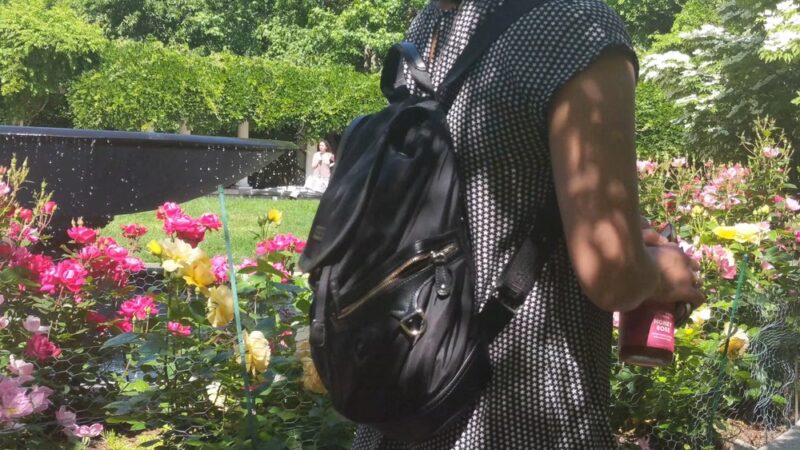 Ramler Park - Boston, MA