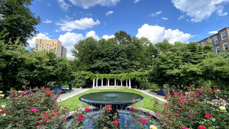 Ramler Park - Boston, MA