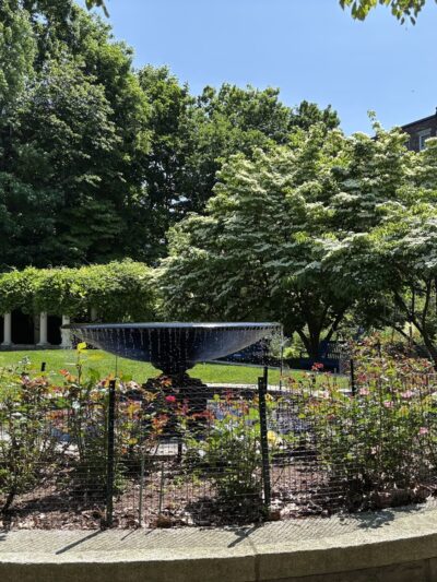 Ramler Park - Boston, MA