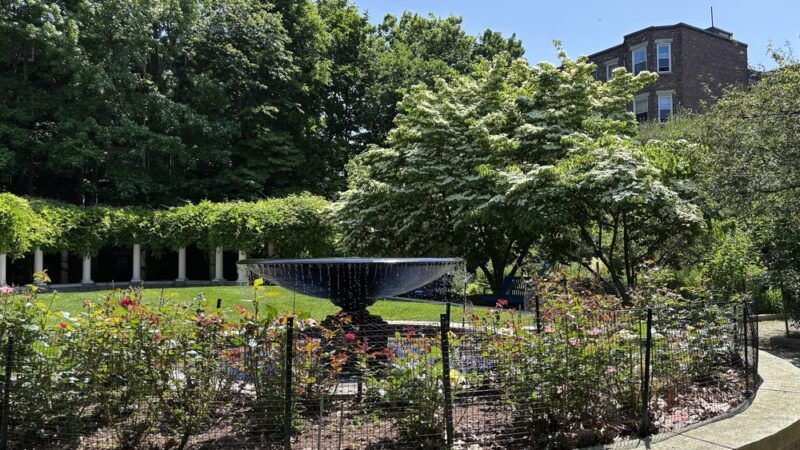 Ramler Park - Boston, MA