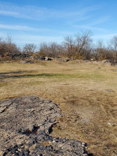 Savin Hill Park - Boston, MA