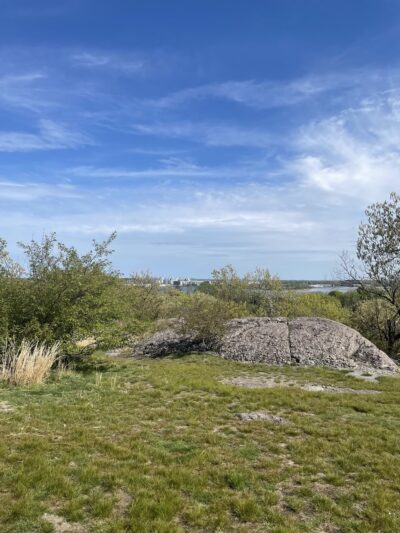 Savin Hill Park - Boston, MA