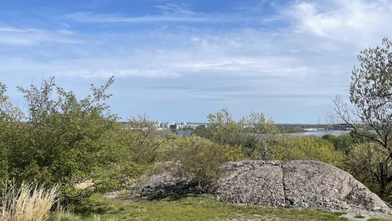 Savin Hill Park - Boston, MA