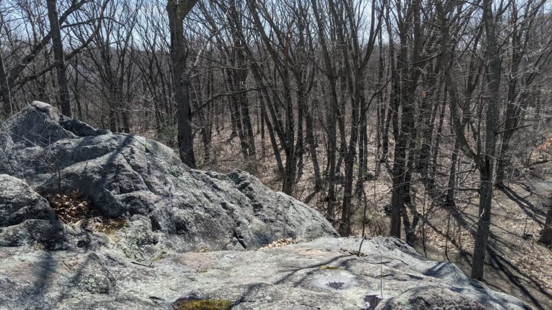 Sherrin Woods - Boston, MA