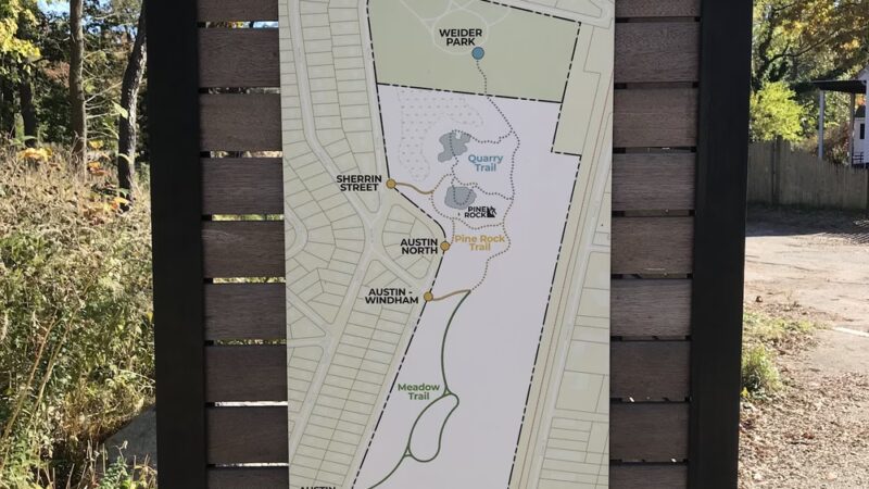 Sherrin Woods - Boston, MA