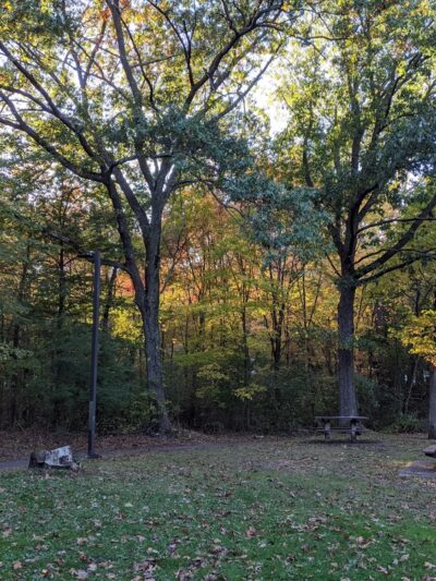 Sherrin Woods - Boston, MA