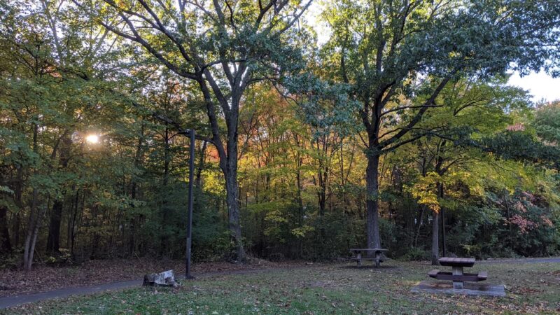 Sherrin Woods - Boston, MA