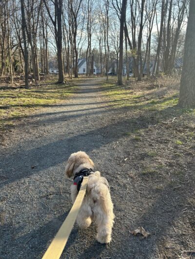 Sherrin Woods - Boston, MA